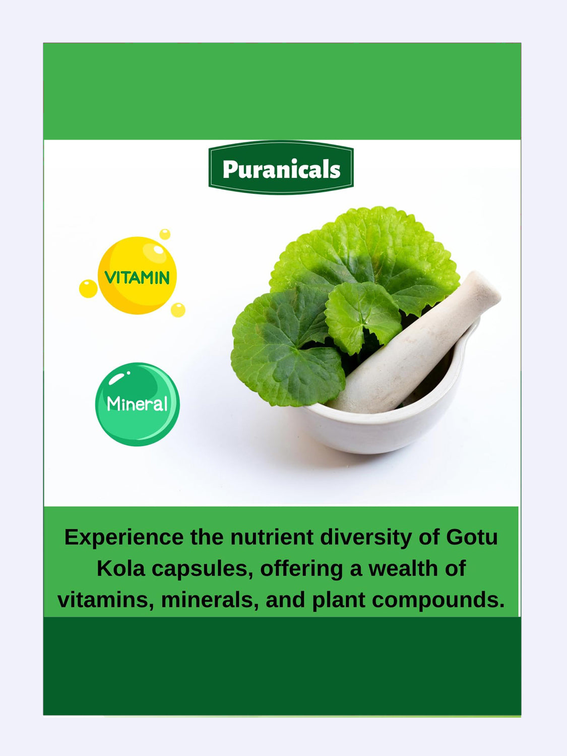 Gotu Kola Energia Mental Max Potente 320 cápsulas